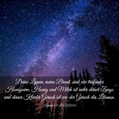 Picture 03 - Hohelied 4:11 LUTH1912 - Deine Lippen, meine Braut, sind wie triefender - Bible Verse Picture