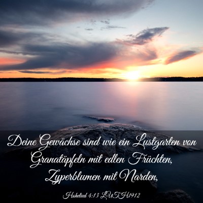 Picture 03 - Hohelied 4:13 LUTH1912 - Deine Gewächse sind wie ein Lustgarten von - Bible Verse Picture