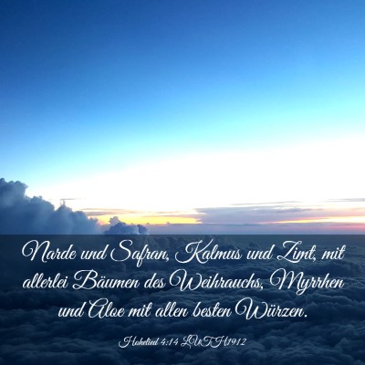 Picture 03 - Hohelied 4:14 LUTH1912 - Narde und Safran, Kalmus und Zimt, mit allerlei - Bible Verse Picture