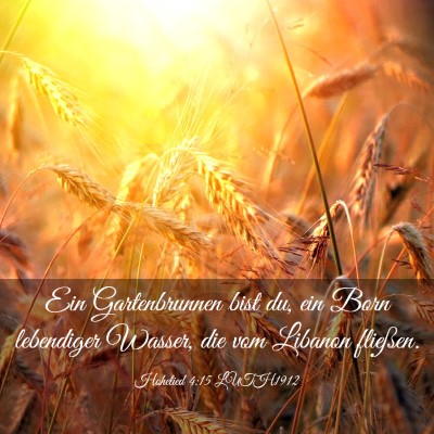 Picture 03 - Hohelied 4:15 LUTH1912 - Ein Gartenbrunnen bist du, ein Born lebendiger - Bible Verse Picture