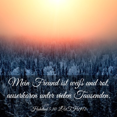 Picture 03 - Hohelied 5:10 LUTH1912 - Mein Freund ist weiß und rot, auserkoren unter - Bible Verse Picture
