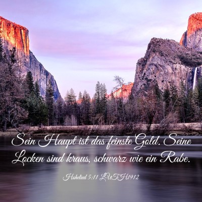 Picture 03 - Hohelied 5:11 LUTH1912 - Sein Haupt ist das feinste Gold. Seine Locken - Bible Verse Picture