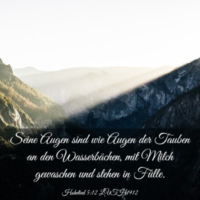 Picture 03 - Hohelied 5:12 LUTH1912 - Seine Augen sind wie Augen der Tauben an den - Bible Verse Picture