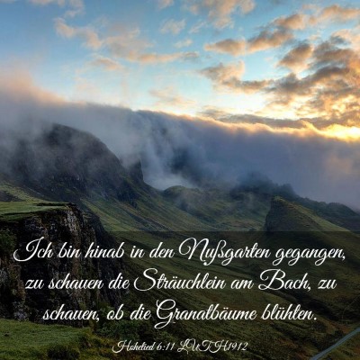 Picture 03 - Hohelied 6:11 LUTH1912 - Ich bin hinab in den Nußgarten gegangen, zu - Bible Verse Picture