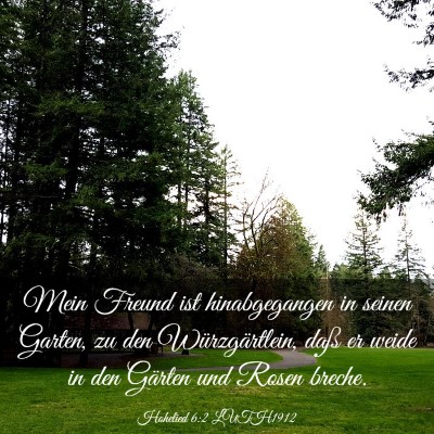 Picture 03 - Hohelied 6:2 LUTH1912 - Mein Freund ist hinabgegangen in seinen Garten, - Bible Verse Picture