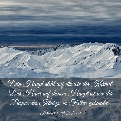 Picture 03 - Hohelied 7:5 LUTH1912 - Dein Haupt steht auf dir wie der Karmel. Das Haar - Bible Verse Picture
