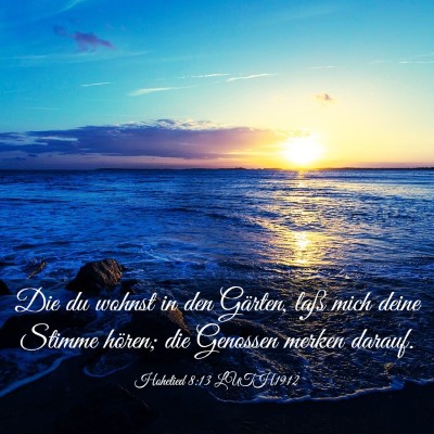 Picture 03 - Hohelied 8:13 LUTH1912 - Die du wohnst in den Gärten, laß mich deine - Bible Verse Picture