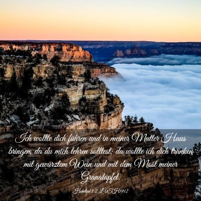 Picture 03 - Hohelied 8:2 LUTH1912 - Ich wollte dich führen und in meiner Mutter Haus - Bible Verse Picture