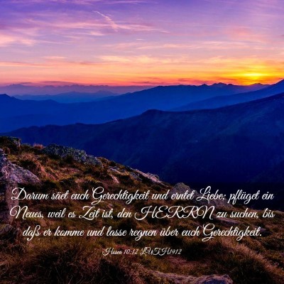 Picture 03 - Hosea 10:12 LUTH1912 - Darum säet euch Gerechtigkeit und erntet Liebe; - Bible Verse Picture