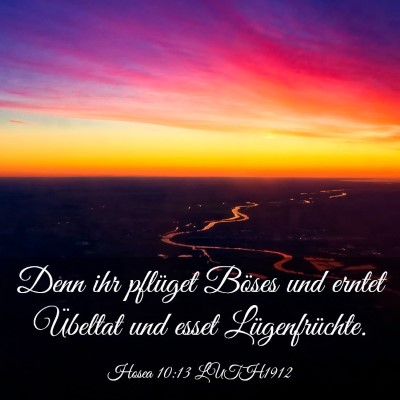 Picture 03 - Hosea 10:13 LUTH1912 - Denn ihr pflüget Böses und erntet Übeltat und - Bible Verse Picture