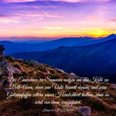 Picture 03 - Hosea 10:5 LUTH1912 - Die Einwohner zu Samaria sorgen um das Kalb zu - Bible Verse Picture