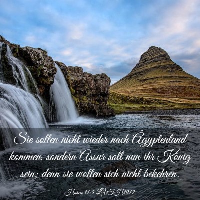 Picture 03 - Hosea 11:5 LUTH1912 - Sie sollen nicht wieder nach Ägyptenland kommen, - Bible Verse Picture