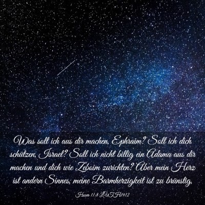 Picture 03 - Hosea 11:8 LUTH1912 - Was soll ich aus dir machen, Ephraim? Soll ich - Bible Verse Picture