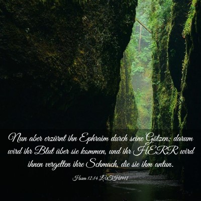 Picture 03 - Hosea 12:14 LUTH1912 - Nun aber erzürnt ihn Ephraim durch seine - Bible Verse Picture
