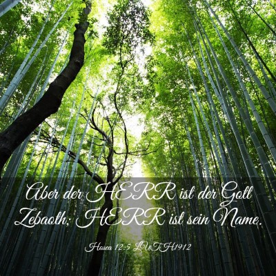 Picture 03 - Hosea 12:5 LUTH1912 - Aber der HERR ist der Gott Zebaoth; HERR ist sein - Bible Verse Picture