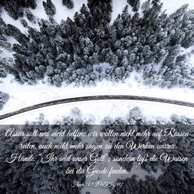 Picture 03 - Hosea 14:3 LUTH1912 - Assur soll uns nicht helfen; wir wollen nicht - Bible Verse Picture