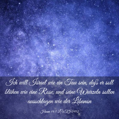 Picture 03 - Hosea 14:5 LUTH1912 - Ich will Israel wie ein Tau sein, daß er soll - Bible Verse Picture