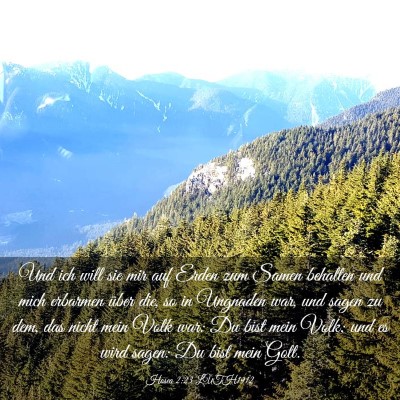 Picture 03 - Hosea 2:23 LUTH1912 - Und ich will sie mir auf Erden zum Samen behalten - Bible Verse Picture