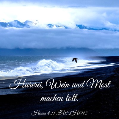 Picture 03 - Hosea 4:11 LUTH1912 - Hurerei, Wein und Most machen - Bible Verse Picture