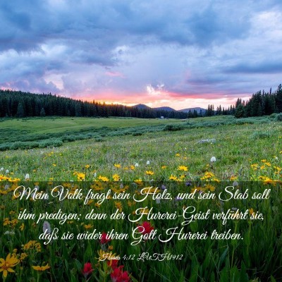 Picture 03 - Hosea 4:12 LUTH1912 - Mein Volk fragt sein Holz, und sein Stab soll ihm - Bible Verse Picture