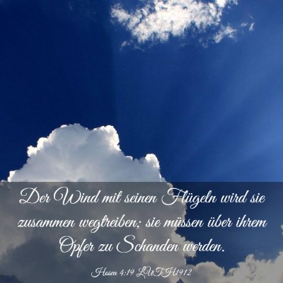Picture 03 - Hosea 4:19 LUTH1912 - Der Wind mit seinen Flügeln wird sie zusammen - Bible Verse Picture