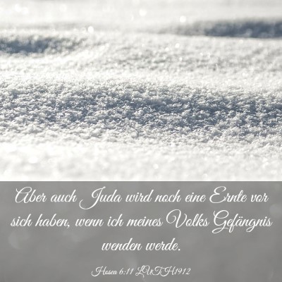 Picture 03 - Hosea 6:11 LUTH1912 - Aber auch Juda wird noch eine Ernte vor sich - Bible Verse Picture