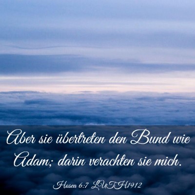 Picture 03 - Hosea 6:7 LUTH1912 - Aber sie übertreten den Bund wie Adam; darin - Bible Verse Picture