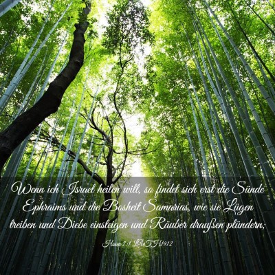 Picture 03 - Hosea 7:1 LUTH1912 - Wenn ich Israel heilen will, so findet sich erst - Bible Verse Picture
