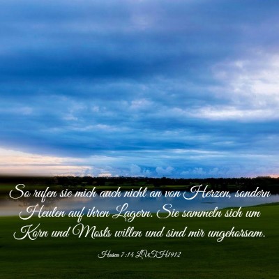 Picture 03 - Hosea 7:14 LUTH1912 - So rufen sie mich auch nicht an von Herzen, - Bible Verse Picture