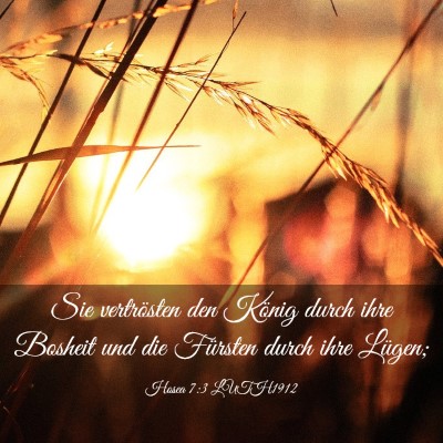 Picture 03 - Hosea 7:3 LUTH1912 - Sie vertrösten den König durch ihre Bosheit und - Bible Verse Picture