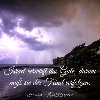 Picture 03 - Hosea 8:3 LUTH1912 - Israel verwirft das Gute; darum muß sie der - Bible Verse Picture