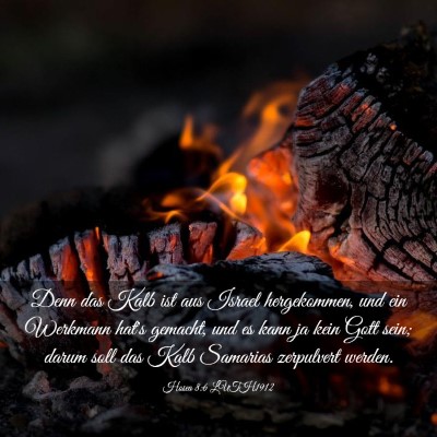 Picture 03 - Hosea 8:6 LUTH1912 - Denn das Kalb ist aus Israel hergekommen, und ein - Bible Verse Picture