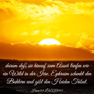 Picture 03 - Hosea 8:9 LUTH1912 - darum daß sie hinauf zum Assur laufen wie ein - Bible Verse Picture