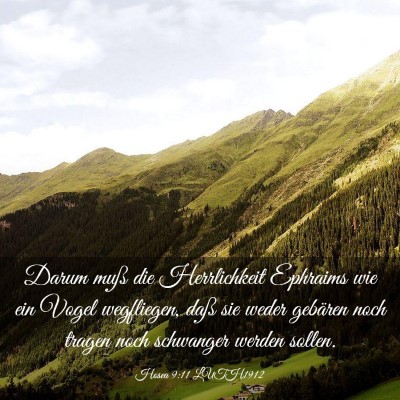 Picture 03 - Hosea 9:11 LUTH1912 - Darum muß die Herrlichkeit Ephraims wie ein - Bible Verse Picture