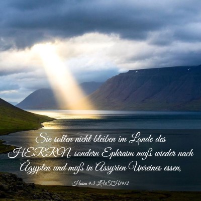 Picture 03 - Hosea 9:3 LUTH1912 - Sie sollen nicht bleiben im Lande des HERRN, - Bible Verse Picture