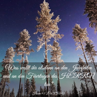 Picture 03 - Hosea 9:5 LUTH1912 - Was wollt ihr alsdann an den Jahrfesten und an - Bible Verse Picture