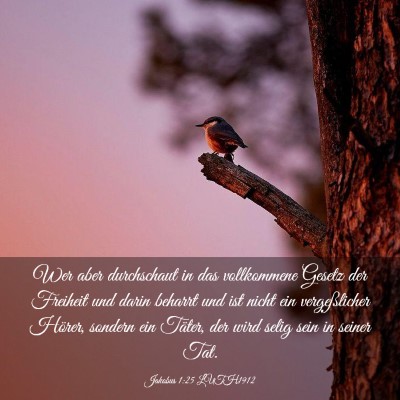 Picture 03 - Jakobus 1:25 LUTH1912 - Wer aber durchschaut in das vollkommene Gesetz - Bible Verse Picture