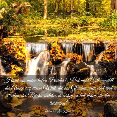 Picture 03 - Jakobus 2:5 LUTH1912 - Höret zu, meine lieben Brüder! Hat nicht Gott - Bible Verse Picture