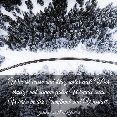 Picture 03 - Jakobus 3:13 LUTH1912 - Wer ist weise und klug unter euch? Der erzeige - Bible Verse Picture