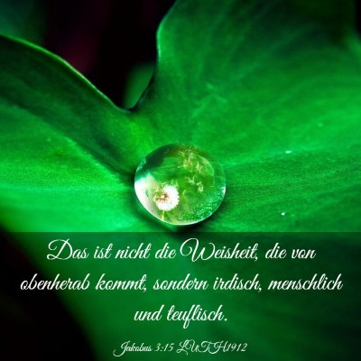 Picture 03 - Jakobus 3:15 LUTH1912 - Das ist nicht die Weisheit, die von obenherab - Bible Verse Picture