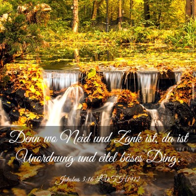 Picture 03 - Jakobus 3:16 LUTH1912 - Denn wo Neid und Zank ist, da ist Unordnung und - Bible Verse Picture