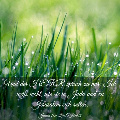 Picture 03 - Jeremia 11:9 LUTH1912 - Und der HERR sprach zu mir: Ich weiß wohl, wie - Bible Verse Picture