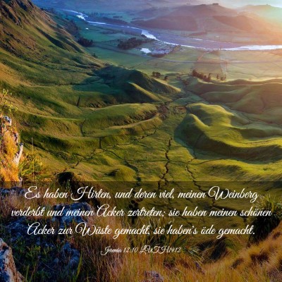 Picture 03 - Jeremia 12:10 LUTH1912 - Es haben Hirten, und deren viel, meinen Weinberg - Bible Verse Picture
