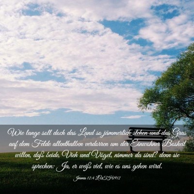 Picture 03 - Jeremia 12:4 LUTH1912 - Wie lange soll doch das Land so jämmerlich - Bible Verse Picture