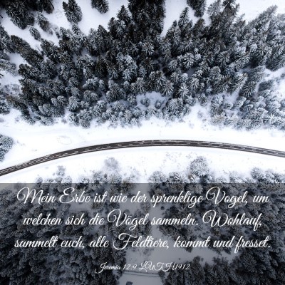 Picture 03 - Jeremia 12:9 LUTH1912 - Mein Erbe ist wie der sprenklige Vogel, um - Bible Verse Picture
