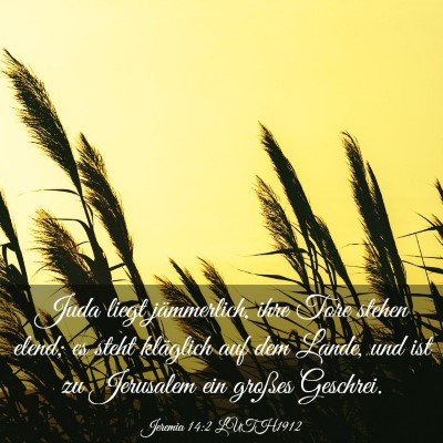 Picture 03 - Jeremia 14:2 LUTH1912 - Juda liegt jämmerlich, ihre Tore stehen elend; - Bible Verse Picture
