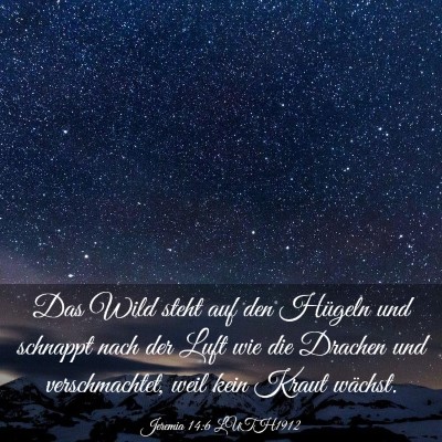 Picture 03 - Jeremia 14:6 LUTH1912 - Das Wild steht auf den Hügeln und schnappt nach - Bible Verse Picture