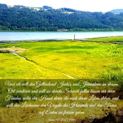 Picture 03 - Jeremia 19:7 LUTH1912 - Und ich will den Gottesdienst Juda's und - Bible Verse Picture