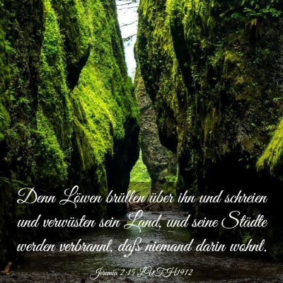 Picture 03 - Jeremia 2:15 LUTH1912 - Denn Löwen brüllen über ihn und schreien und - Bible Verse Picture