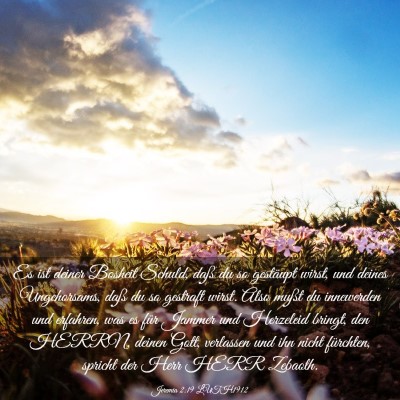 Picture 03 - Jeremia 2:19 LUTH1912 - Es ist deiner Bosheit Schuld, daß du so - Bible Verse Picture